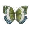 🦋 Эмодзи «Бабочки И Цветы» для Telegram