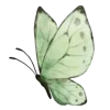 🦋 Эмодзи «Бабочки И Цветы» для Telegram