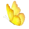 🦋 Эмодзи «Бабочки И Цветы» для Telegram