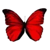 🦋 Эмодзи «Бабочки И Цветы» для Telegram