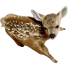 🫥 Эмодзи «Олени» для Telegram