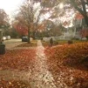 🫥 Эмодзи «Early autumn» для Telegram