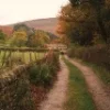 🫥 Эмодзи «Early autumn» для Telegram