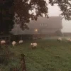 Early autumn