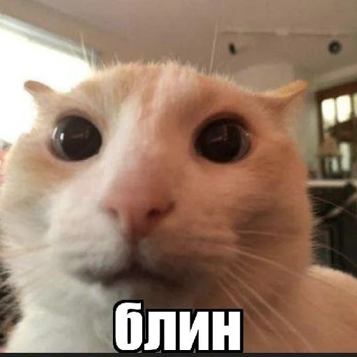 ☹️ Стикер «Bahmet&;s pack» для Telegram