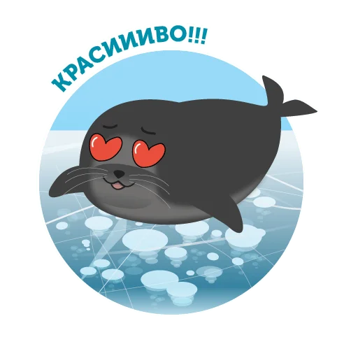 😍 Стикер «Байкальская нерпа» для Telegram