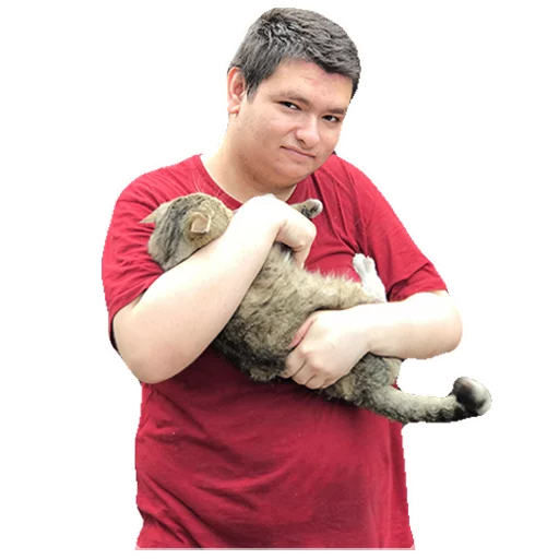 😽 Стикер «Балдежный пак.» для Telegram