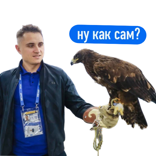 😎 Стикер «Балтийцы 2.0» для Telegram