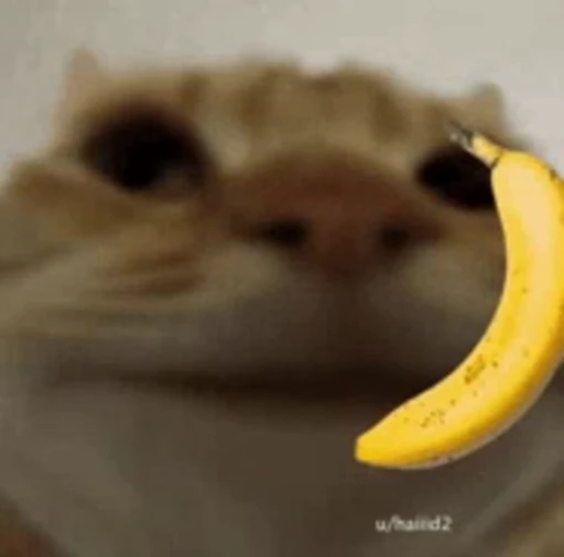 Стикерпак Bananas для Telegram — скачать
