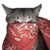 🐱 Эмодзи «bandanacats» для Telegram