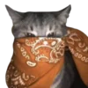 🐱 Эмодзи «bandanacats» для Telegram
