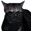 🐱 Эмодзи «bandanacats» для Telegram