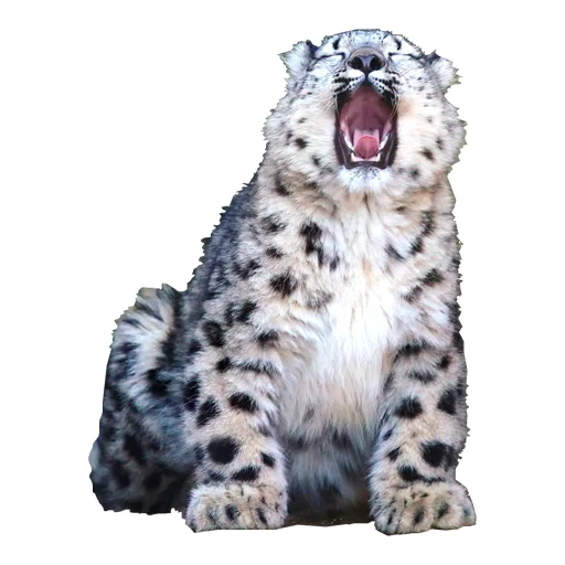 Стикерпак BarsFukuBaby для Telegram — скачать
