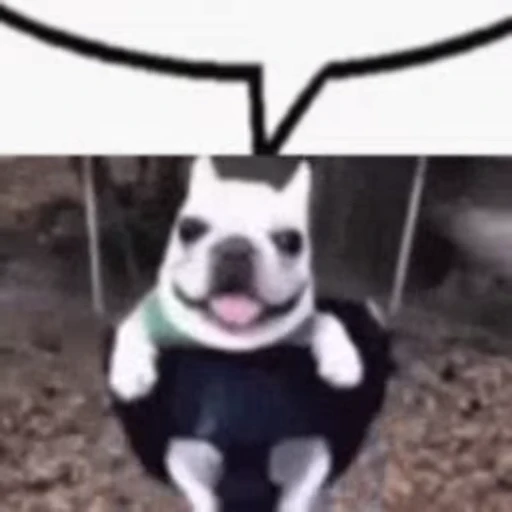 🐶 Стикер «База №5» для Telegram
