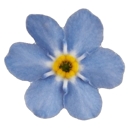 🫥 Стикер «Blue World» для Telegram