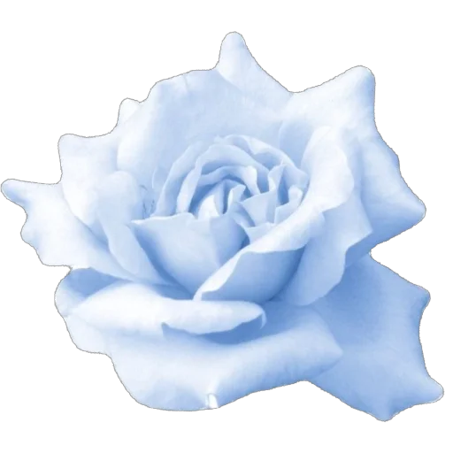 🫥 Стикер «Blue World» для Telegram