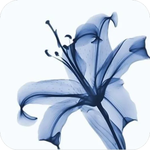 🫥 Стикер «Blue World» для Telegram
