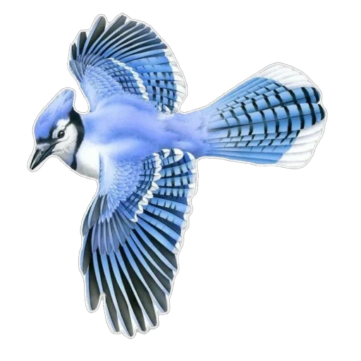 🫥 Стикер «Blue World» для Telegram