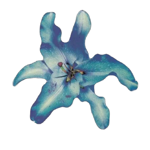 🫥 Стикер «Blue World» для Telegram