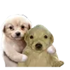 🤗 Эмодзи «B» для Telegram