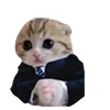 😎 Эмодзи «B» для Telegram