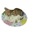 🍚 Эмодзи «B» для Telegram