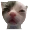 😣 Эмодзи «B» для Telegram