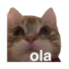 😮 Эмодзи «B» для Telegram