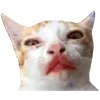 😣 Эмодзи «B» для Telegram