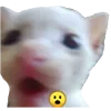 😣 Эмодзи «B» для Telegram