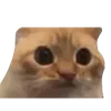 😶 Эмодзи «B» для Telegram