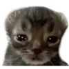 😣 Эмодзи «B» для Telegram