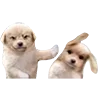 👊 Эмодзи «B» для Telegram