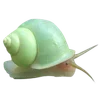 🌟 Эмодзи «/̞̎̆͒̄͗̾̚'3͜͡/̞̎̆͒̄͗̾̚» для Telegram