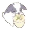 🐰 Эмодзи «🐰Rabbit and food» для Telegram