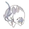 🐰 Эмодзи «🐰Rabbit and food» для Telegram