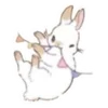🐰 Эмодзи «🐰Rabbit and food» для Telegram