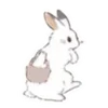 🐰 Эмодзи «🐰Rabbit and food» для Telegram