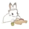 🐰 Эмодзи «🐰Rabbit and food» для Telegram