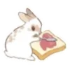 🐰 Эмодзи «🐰Rabbit and food» для Telegram
