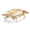 🐰 Эмодзи «🐰Rabbit and food» для Telegram