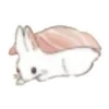 🐰 Эмодзи «🐰Rabbit and food» для Telegram