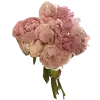 🤩 Эмодзи «Beauty Amp Aesthetic» для Telegram