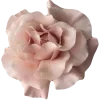 🤩 Эмодзи «Beauty Amp Aesthetic» для Telegram