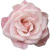 🤩 Эмодзи «Beauty Amp Aesthetic» для Telegram