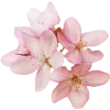 🤩 Эмодзи «Beauty Amp Aesthetic» для Telegram