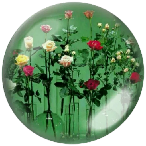 🥗 Стикер «autumnpoet» для Telegram