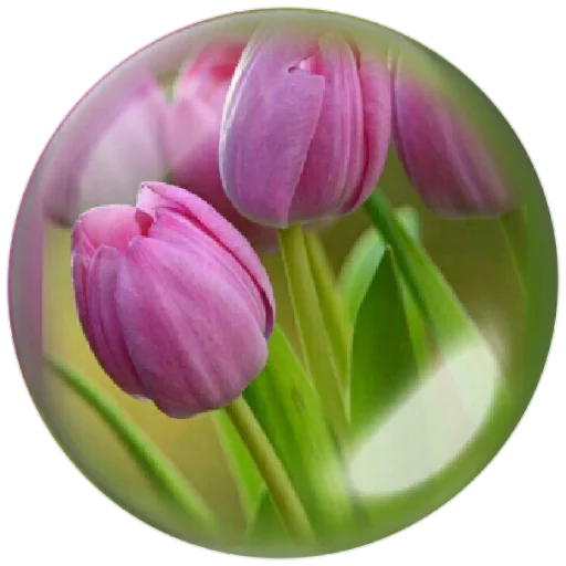 🌷 Стикер «autumnpoet» для Telegram