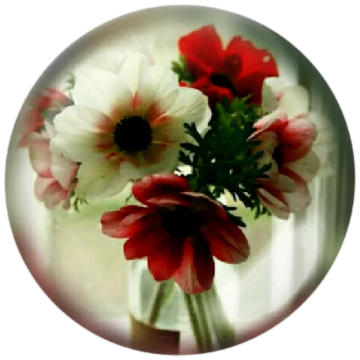 🌺 Стикер «autumnpoet» для Telegram