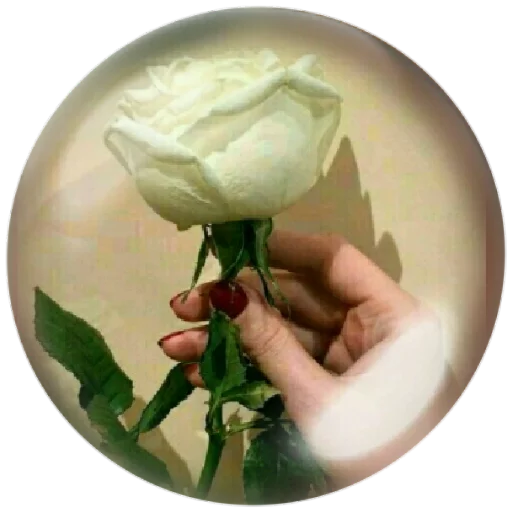 🌹 Стикер «autumnpoet» для Telegram